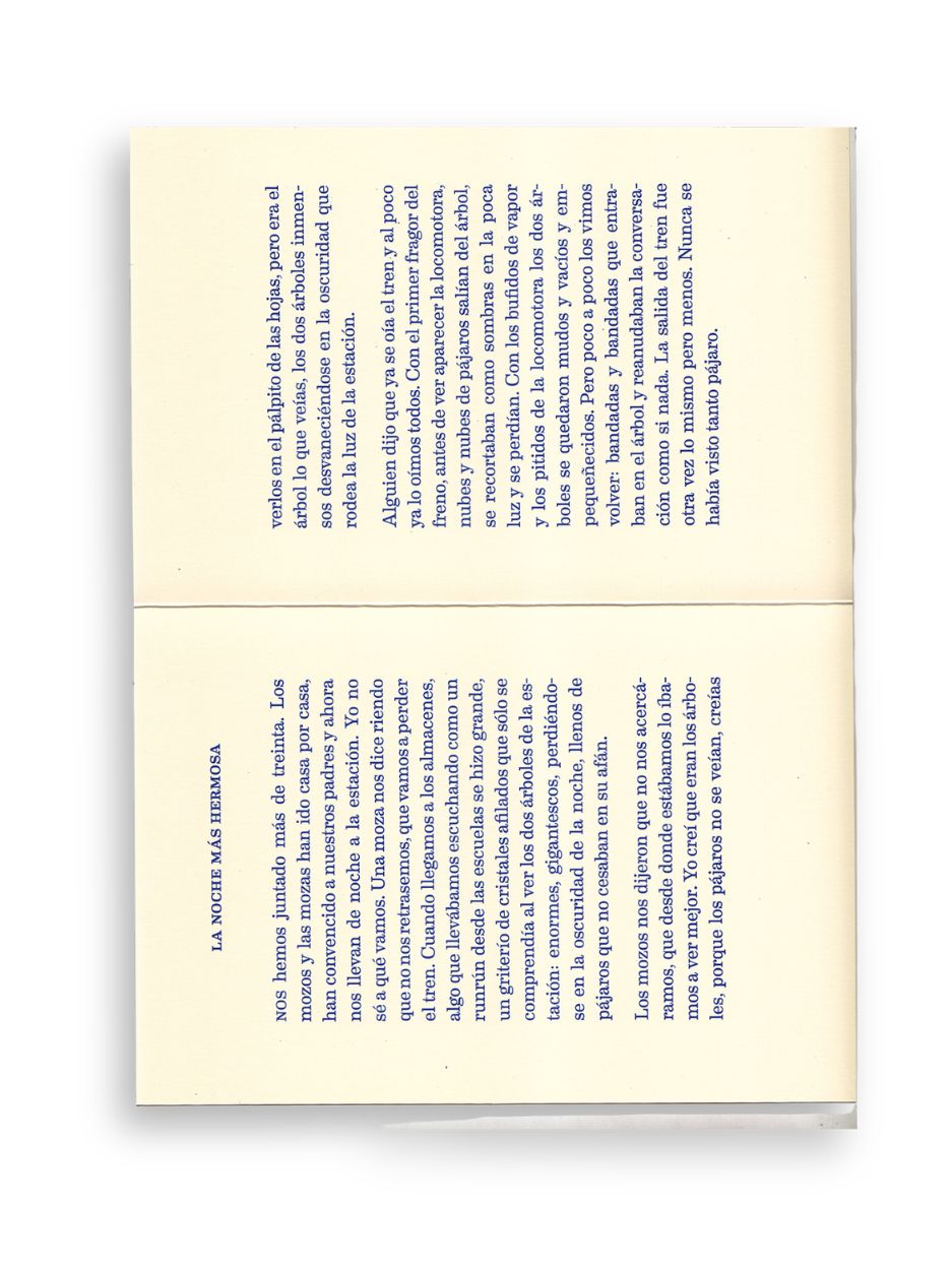 LA NOCHE MÁS HERMOSA / Tomás Salvador González