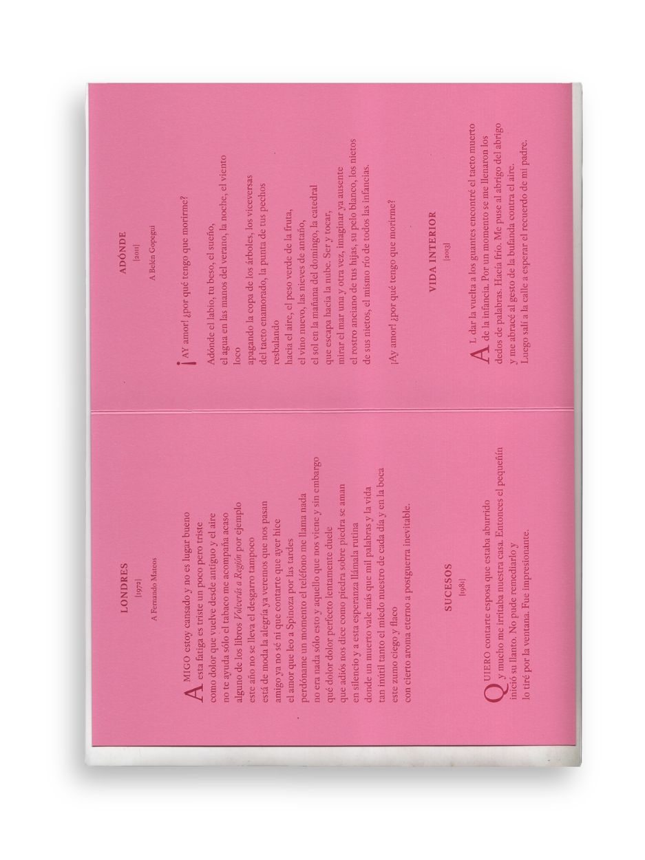 EN RESUMEN / Constantino Bértolo