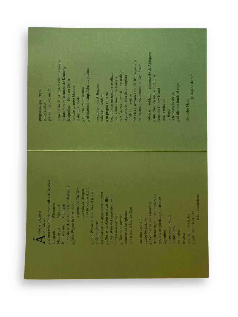 INVASIÓN DE IRAK / Fernando Sanmartín