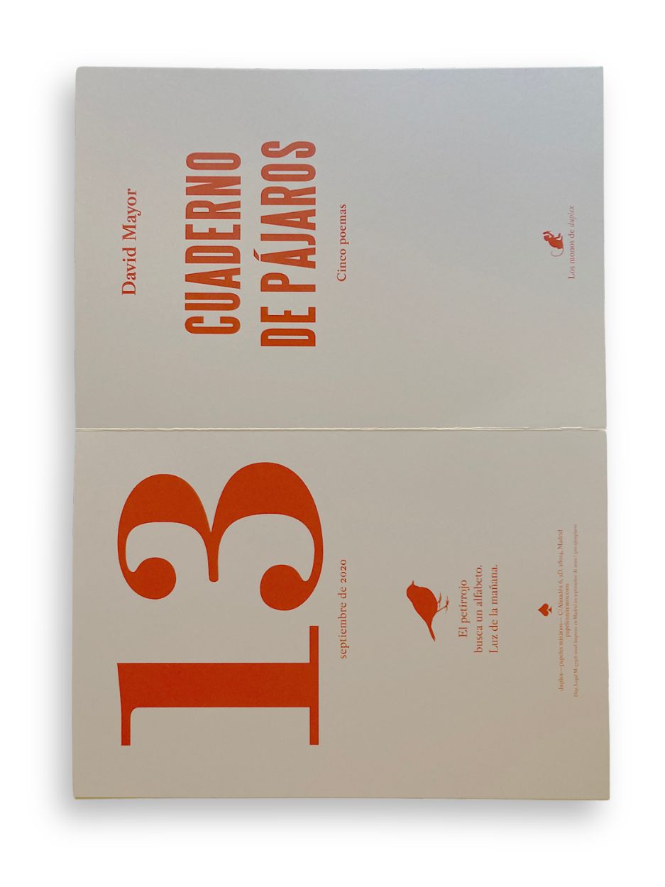 CUADERNO DE PÁJAROS / David Mayor Orgillés
