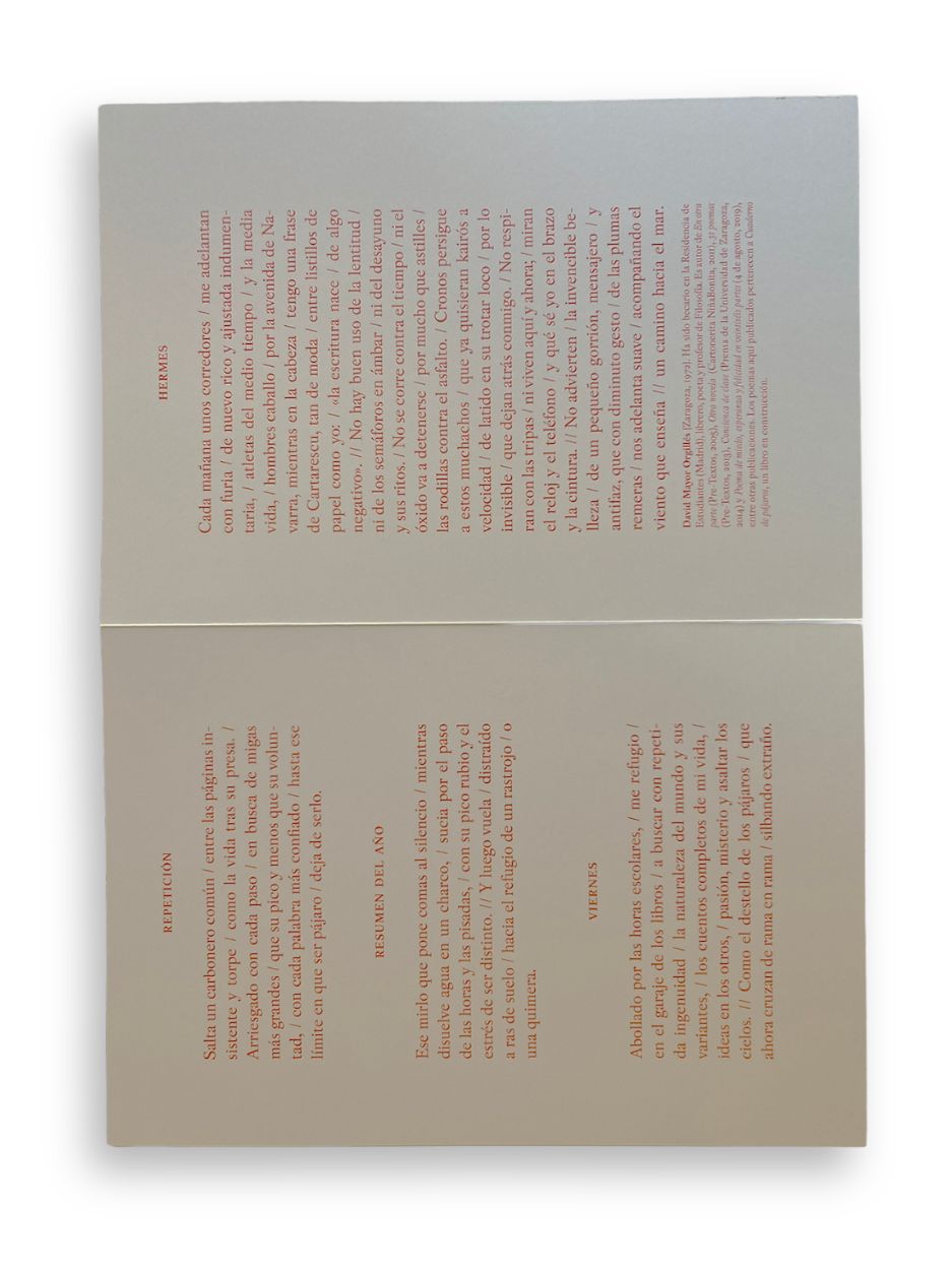 CUADERNO DE PÁJAROS / David Mayor Orgillés