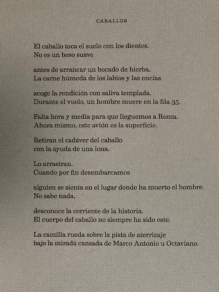 A SUPERFICIE / LA SUPERFICIE / Ismael Ramos