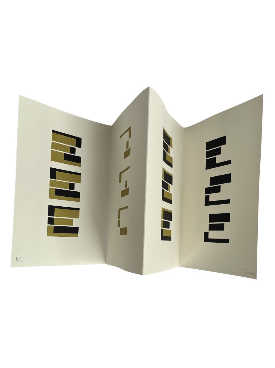 HIBIERNO (ENCARTE) / Jordi Teixidor