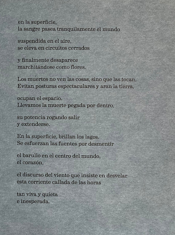 A SUPERFICIE / LA SUPERFICIE / Ismael Ramos