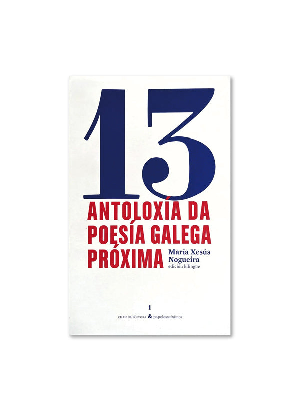 ANTOLOGÍA DE POESÍA GALLEGA PRÓXIMA / Ed. bilingüe de María Xesús Nogueira